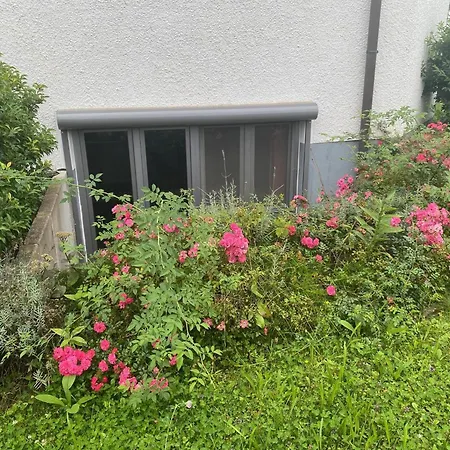 Apartmán Teamwerk *